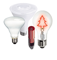 Bulbs